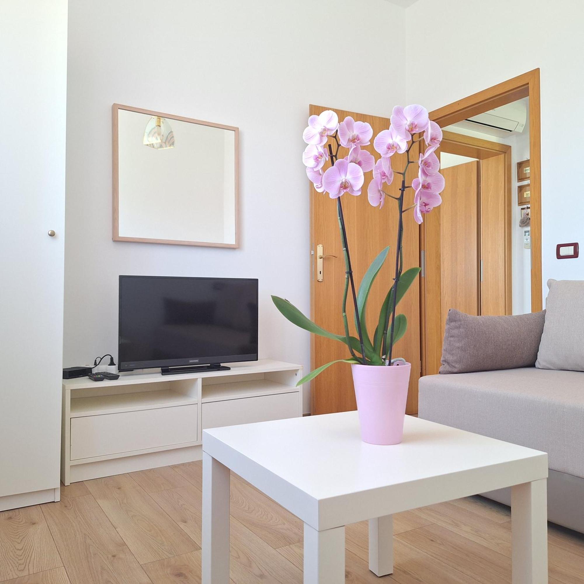 Apartment Mita Grožnjan Екстериор снимка